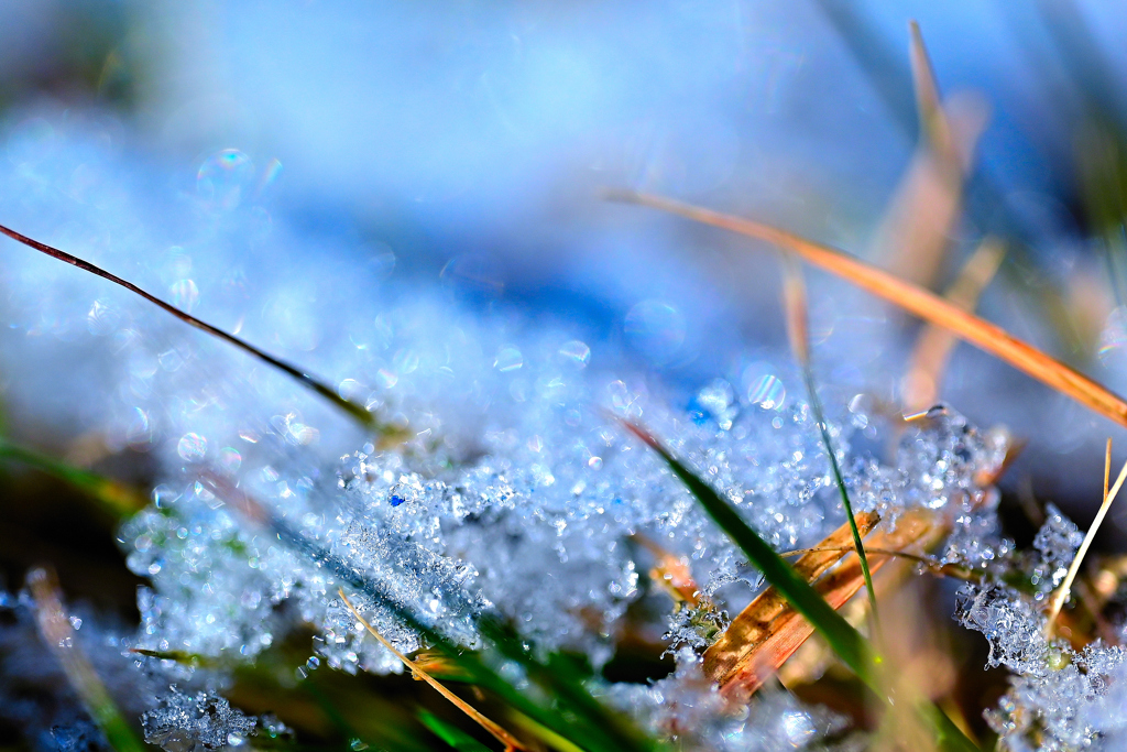 Snow on the grass