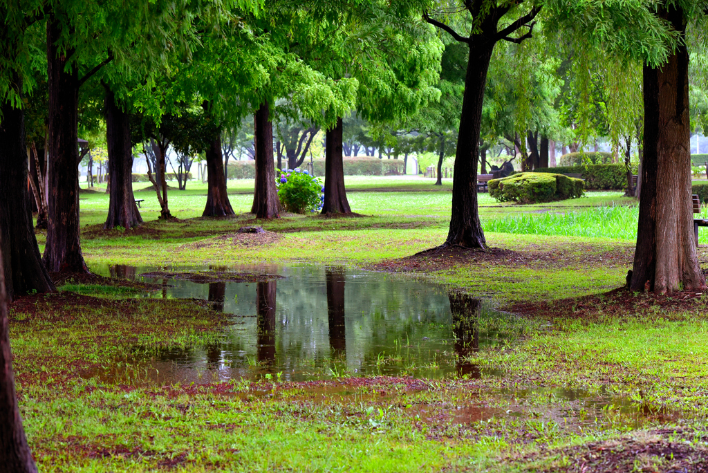大雨の後