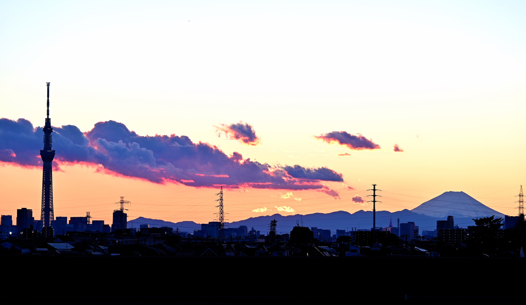 江戸川夕景