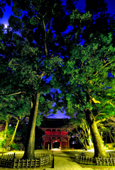 夜の仁王門
