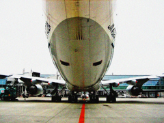 Love B747