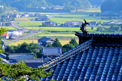 お寺の鯱（シャチホコ）