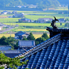 お寺の鯱（シャチホコ）