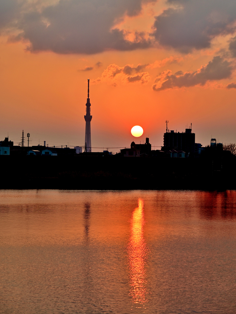 江戸川の夕日とスカイツリー