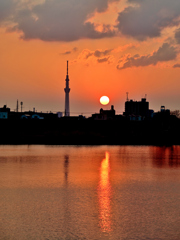 江戸川の夕日とスカイツリー