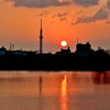 江戸川の夕日とスカイツリー