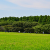 平和な時間