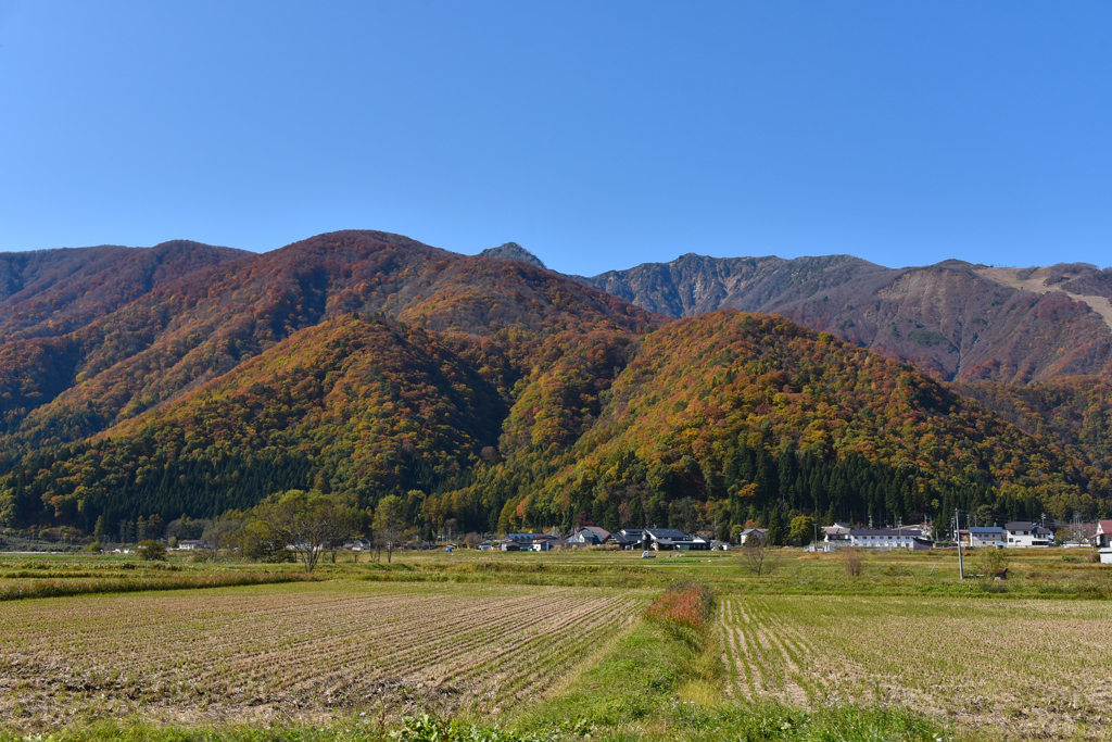 秋色の山々