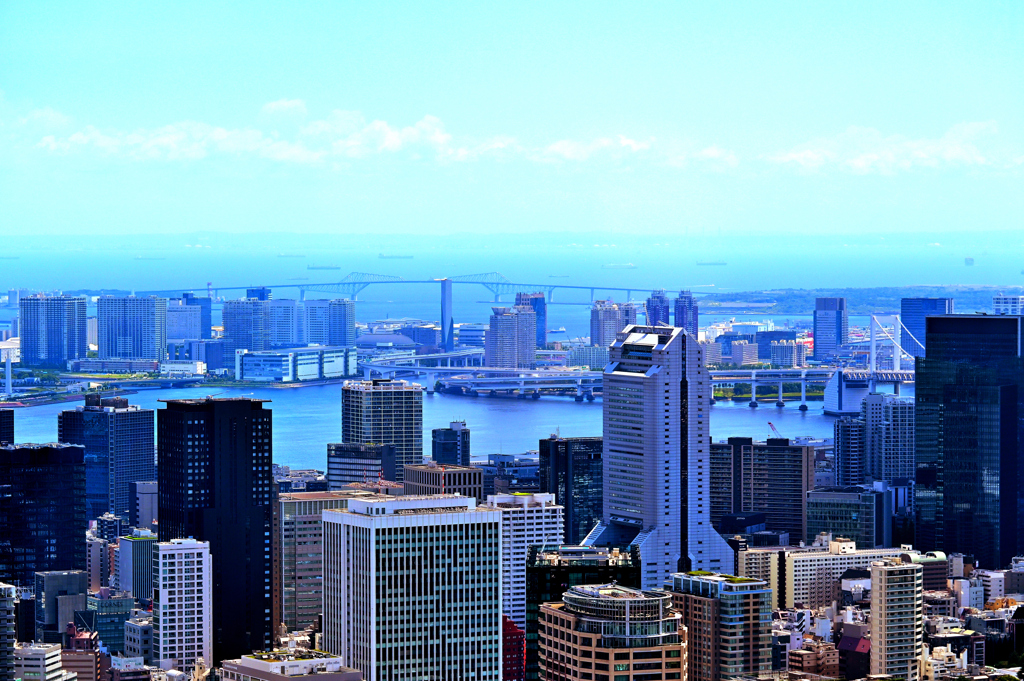 View from 六本木ヒルズ