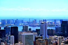 View from 六本木ヒルズ