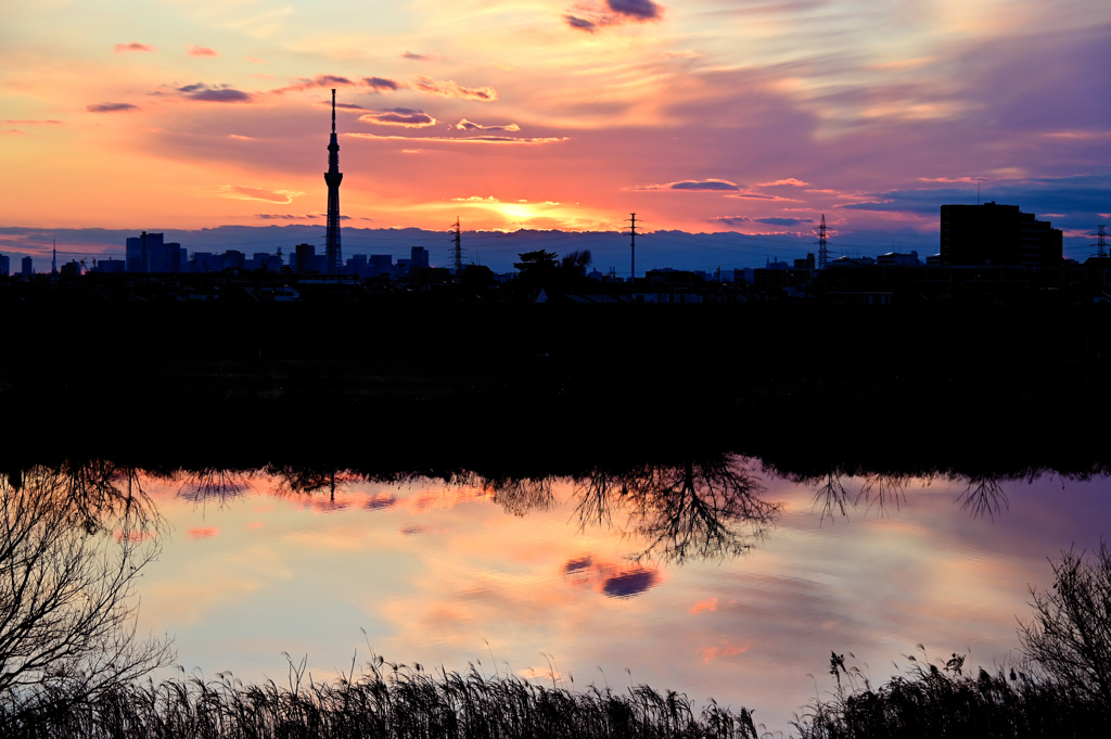 元旦の江戸川夕景