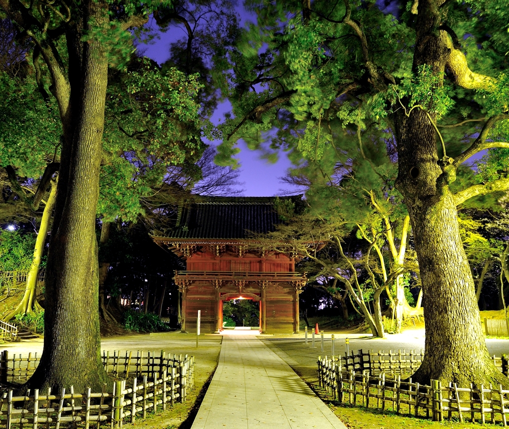 夜の山門