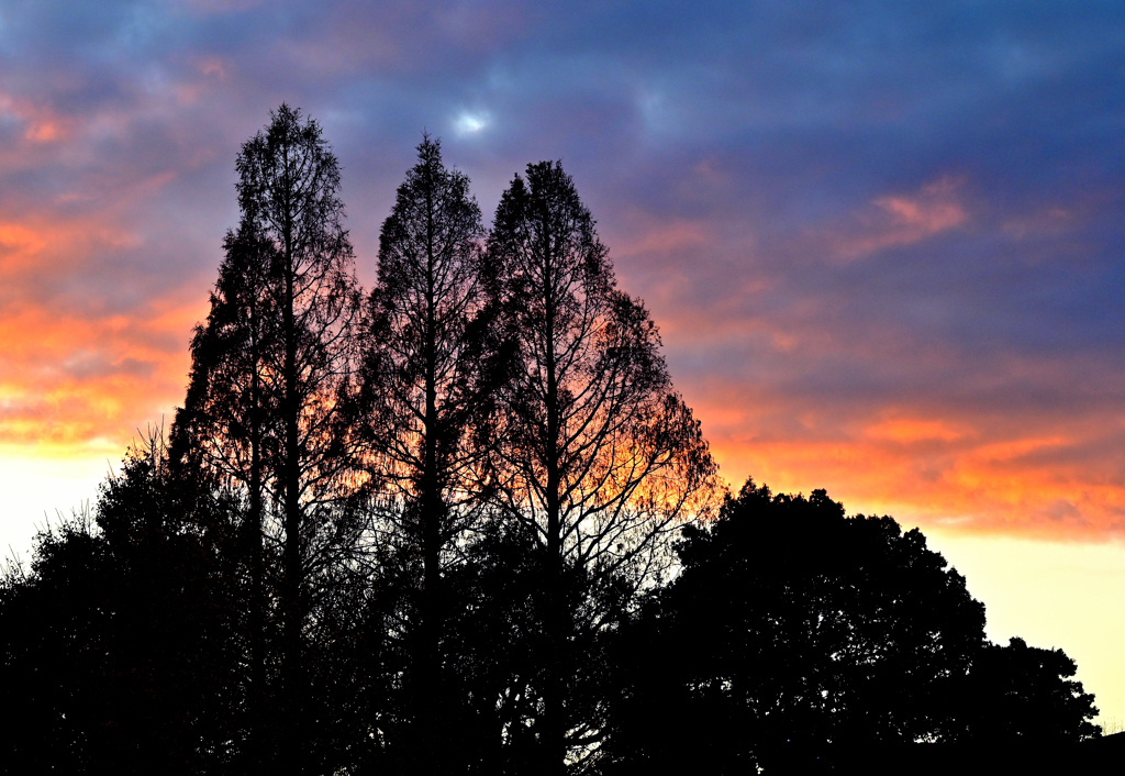 神宮外苑の夕焼け