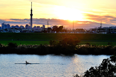 江戸川夕景