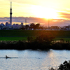 江戸川夕景
