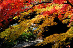 本土寺の秋・・千葉県
