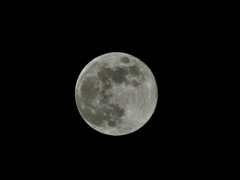 今夜の満月 ”ビーバームーン”