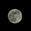 今夜の満月 ”ビーバームーン”
