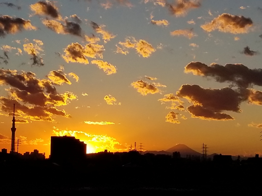 江戸川夕景