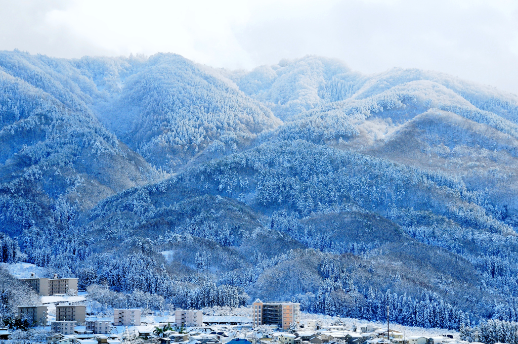 雪化粧