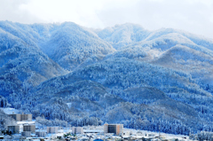 雪化粧