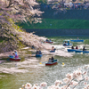 名所 千鳥ヶ淵