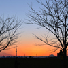 江戸川夕景