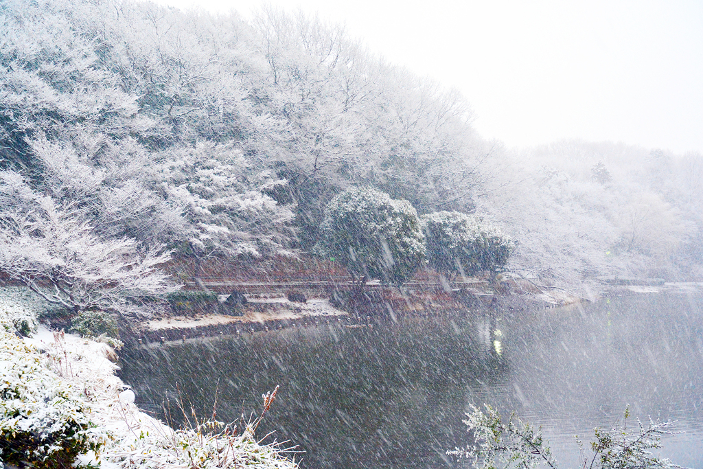 「雪が降る」