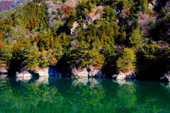 湖岸の彩