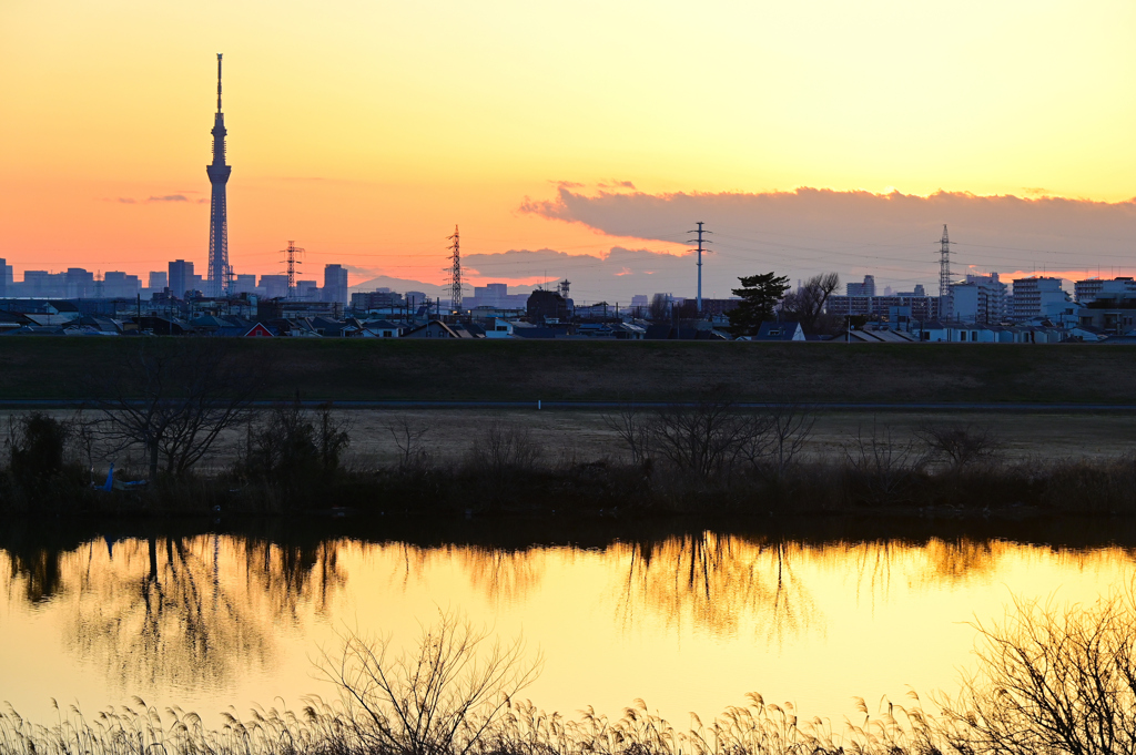 江戸川夕景