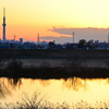 江戸川夕景