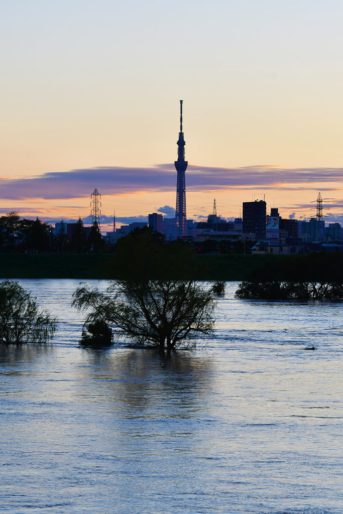 台風一過・・水没した河川敷ゴルフ場とスカイツリー