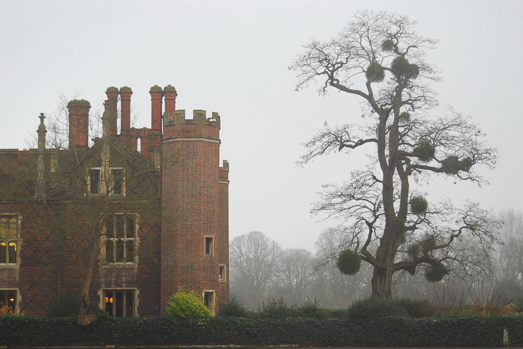 Mysterious Palace