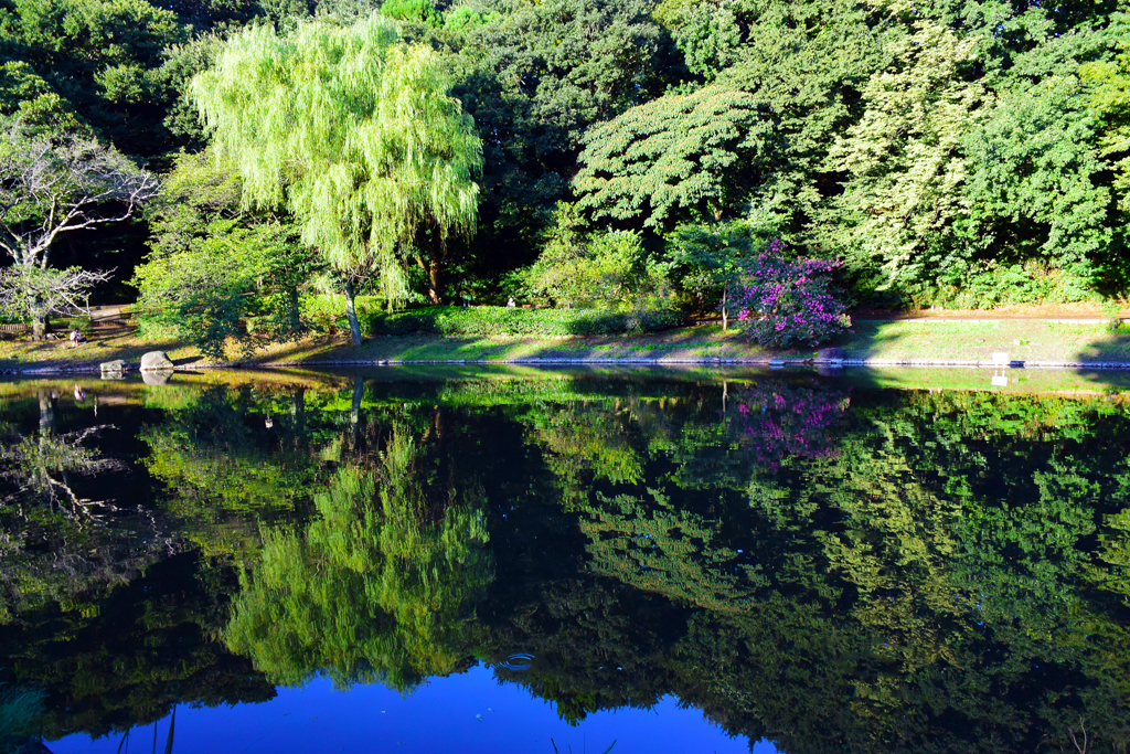 風の無い公園