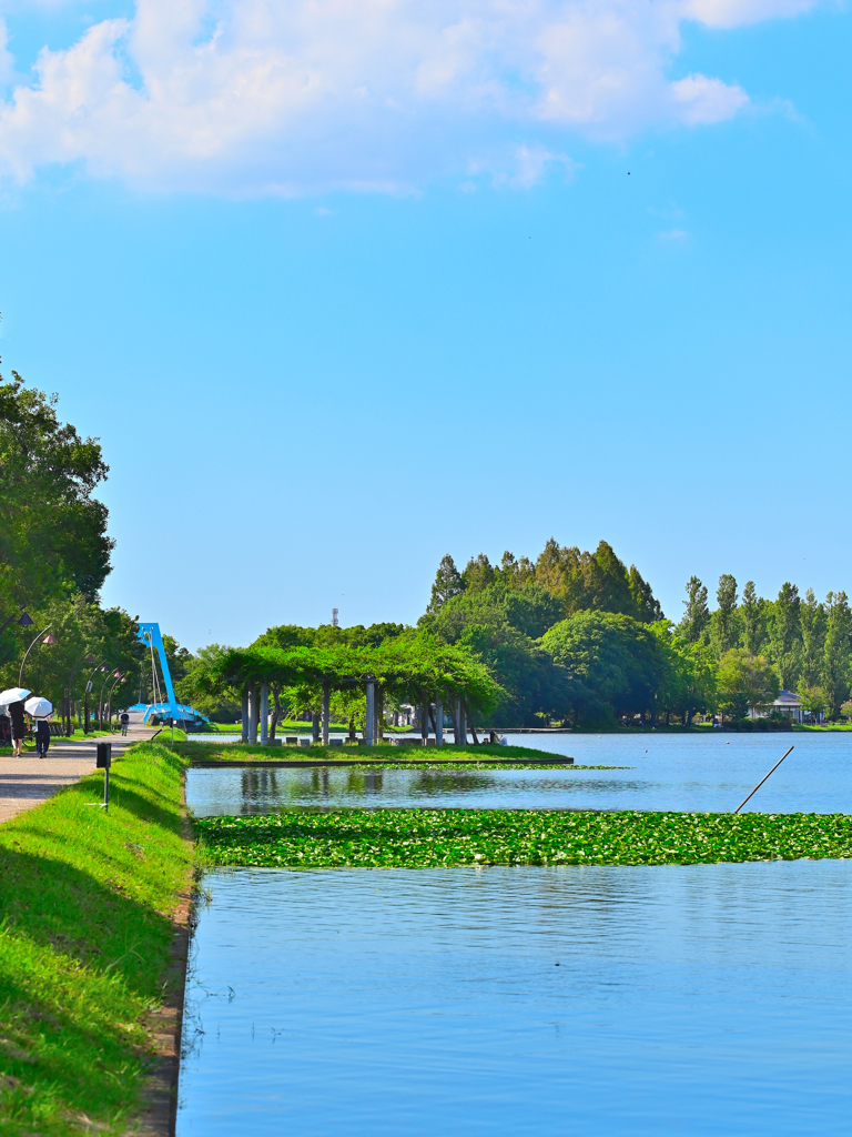 愛される公園