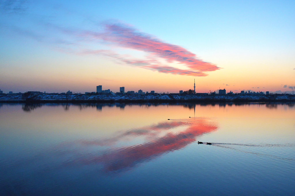 夕暮れ・・江戸川