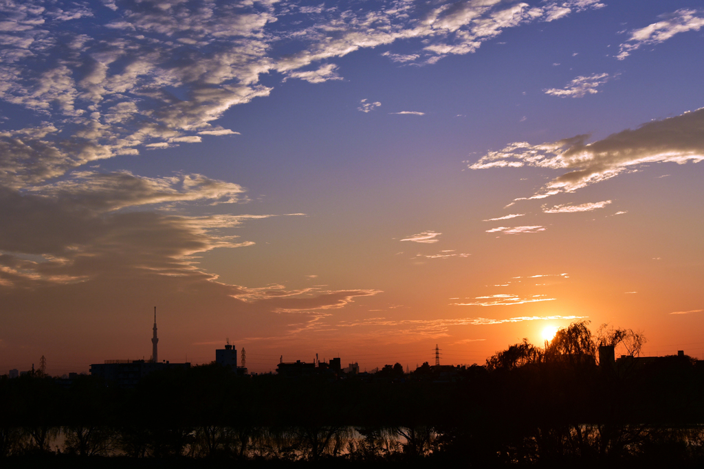 江戸川の夕陽