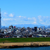 江戸川の向こう側