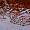 雨音