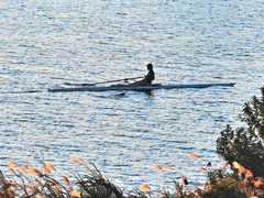 ボートを漕ぐ娘