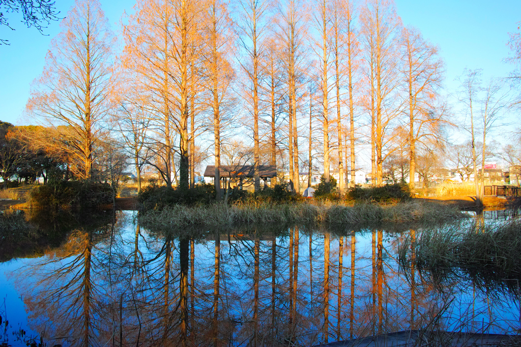 Reflection