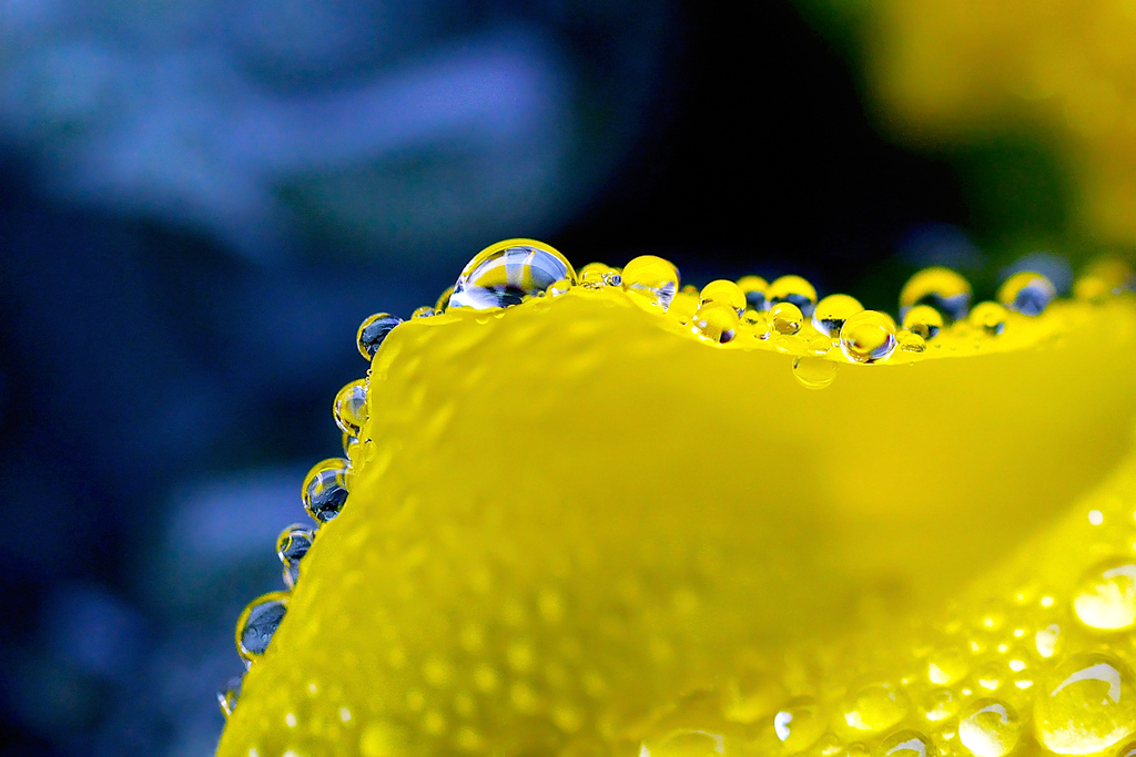 Tear Drops