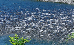 清流