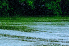 RAIN