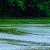 Rain shower
