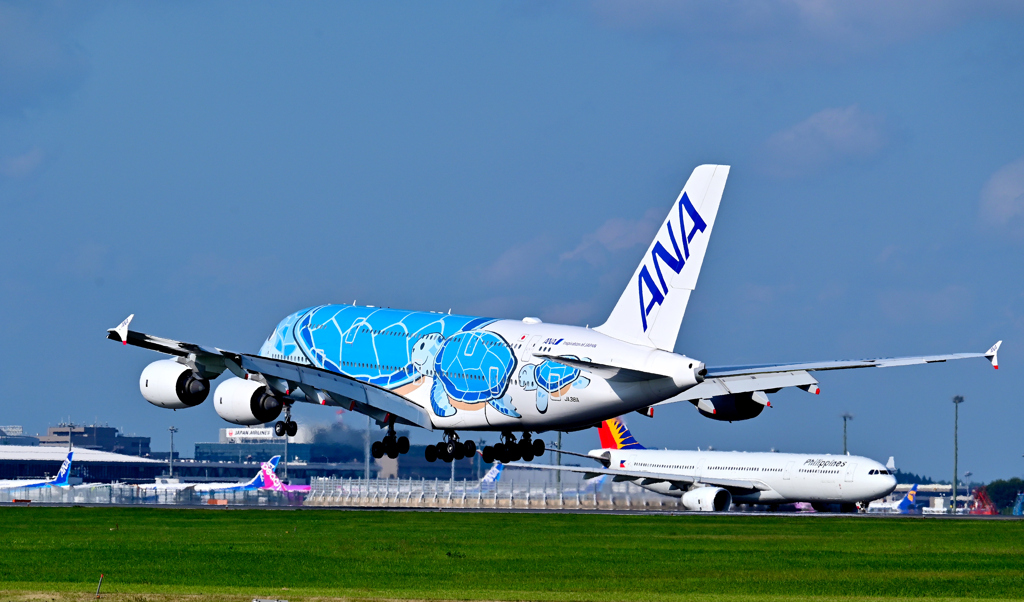 ウミガメ１号機