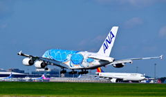 ウミガメ１号機