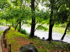 誰も居ない雨の公園