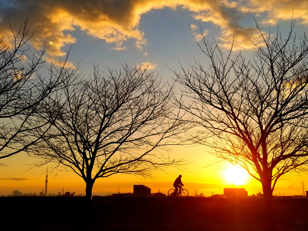 江戸川夕景