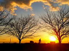 江戸川夕景